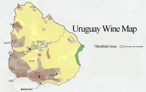 WinesofUruguay-map-300x189